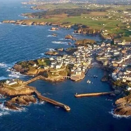 Gaviotas Tapia Tapia De Casariego
